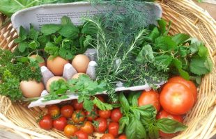 How to Garden for Effective Weight Loss: Fitness and Nutrition