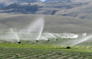 Different Types of Irrigation Systems