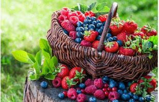 Food During Pregnancy: Which Is Safe To Eat And Not