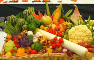 Analyzing The Top Vegan And Vegetarian Food Baskets And Their Sustainability