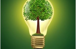 10 Basics in Living off the Grid